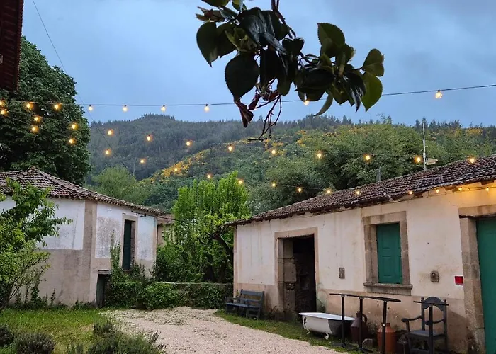 ベッド・アンド・ブレックファスト Terra *